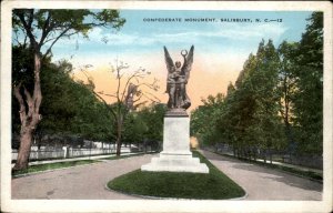 Salisbury North Carolina NC Confederate Monument 1900s-20s Vintage Postcard
