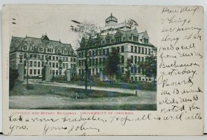 Chicago Zoological and Botanical Buildings at University c1905 Postcard D15