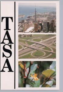 TASA, The Art Services Agency, Toronto, Ontario, Chrome Advertising Postcard #1