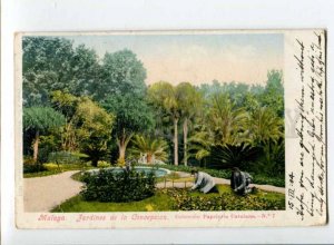 400037 SPAIN MALAGA Jardines de la Conception Vintage postcard