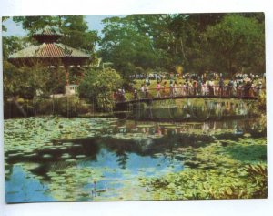 217035 VIETNAM HO CHI MINH CITY botanical & Zoological garden old postcard