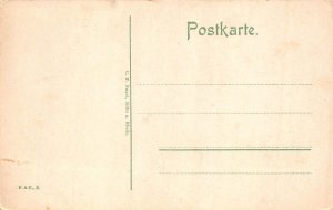 Germany Hotel auf dem Petersberg in Siebengebirge vintage postcard