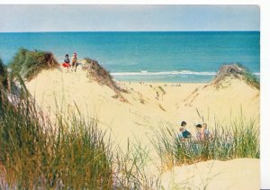 France Postcard - Couleurs Et Lumiere De France - Dans Les Dunes    SM111