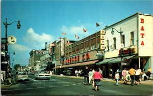 Postcard ON Sudbury Elm Street Downtown Drug Store Kresge Store 1960s S100