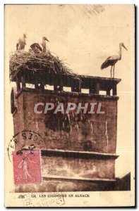 Old Postcard Storks in Alsace