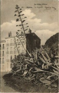 CPA Hyeres Le Venadou, Agave en fleur FRANCE (1103651)