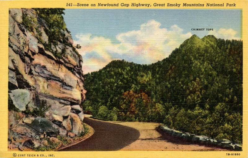TN - Great Smoky Mountains National Park. Newfound Gap Highway Scene