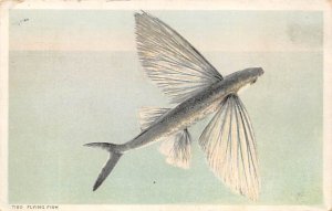 Flying Fish Comic Fishing PU Unknown 