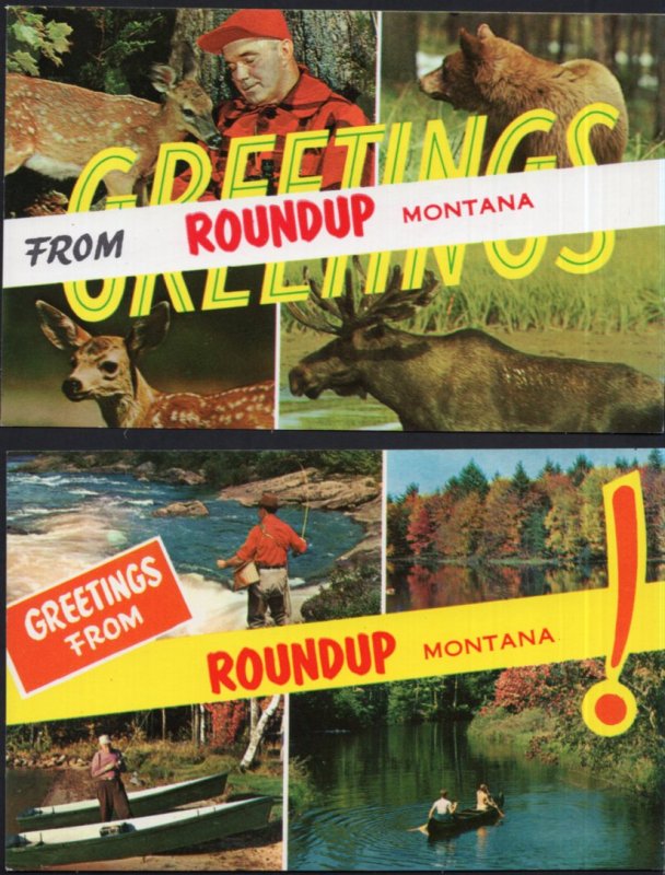 Lot of 2 Greetings From ROUNDUP Montana SplitView Scenery Animals - Chrome