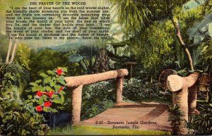 Florida Sarasota The Prayer Of The Woods Sarasota Jungle Gardens Curteich