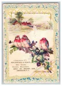 Vintage 1890's Victorian Trade Card - Holzheimer & Shaul Dry Goods Amsterdam NY