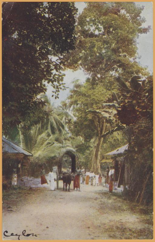 Native Roadside scene, Ceylon (Now Sri Lanka)