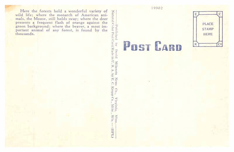 Postcard ROAD SCENE Ely Minnesota MN AU8147