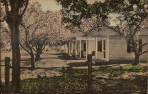 Westbrook CT Orchard Cabins Hand Colored c1915 Postcard