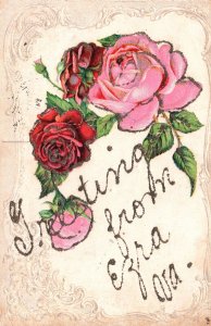 Vintage Postcard Greetings From Ezra Virginia Rose Flowers Calligraphy Border