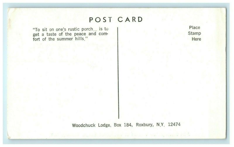 John Burroughs at Woodchuck Lodge Roxbury New York NY Antique Postcard