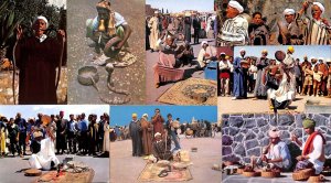 Cultures & Ethnicities African & Asian ethnic snake charmers lot of 8 postcards 