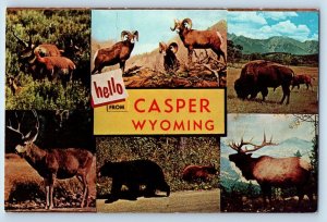 Casper Wyoming Postcard Hello Multiview Bear Moose Animal Buffalo c1960 Vintage