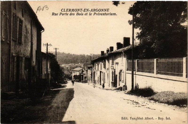 CPA CLERMONT-en-ARGONNE - Rue Porte des Bois et le Préventorium (631011)