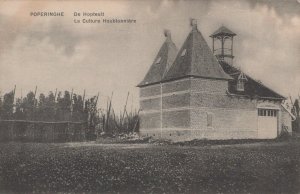 Belgium Postcard - Poperinghe - De Hopteelt, La Culture Houblonniere RS22476