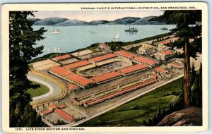 San Francisco PANAMA PACIFIC EXPO~ LIVESTOCK SECTION & Stadium   1915 Postcard