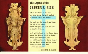 Vintage Postcard The Legend of the Crucifix Fish Florida State Series