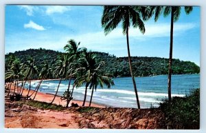 Maracas Bay TRINIDAD & Tobago Postcard