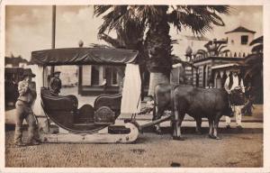 Madeira Portugal Oxen Sled Real Photo Antique Postcard J50284