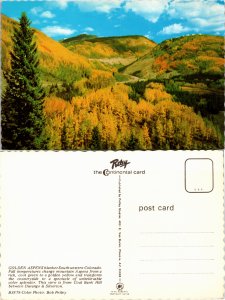 Golden Aspens, Colorado (22996