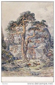 Czech Art Postcard , Tree , 00-10s ; Brehy v Dalamacii