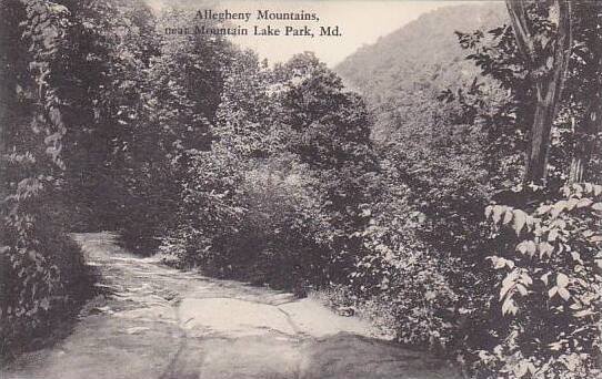 Maryland Mountain Lake Park Allegheny Mountains Albertype