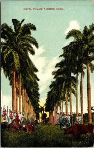 Vtg Havana Cuba Avenue of Royal Palms 1910s Postcard