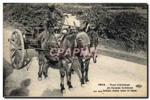 Old Postcard Militaria type & # & # 39attelage of Indian 39armee Donkey Mule