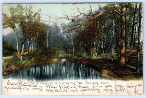 1908 BROOK ABOVE THE DAM HAMILTON PARK WATERBURY CONNECTICUT ROTOGRAPH POSTCARD