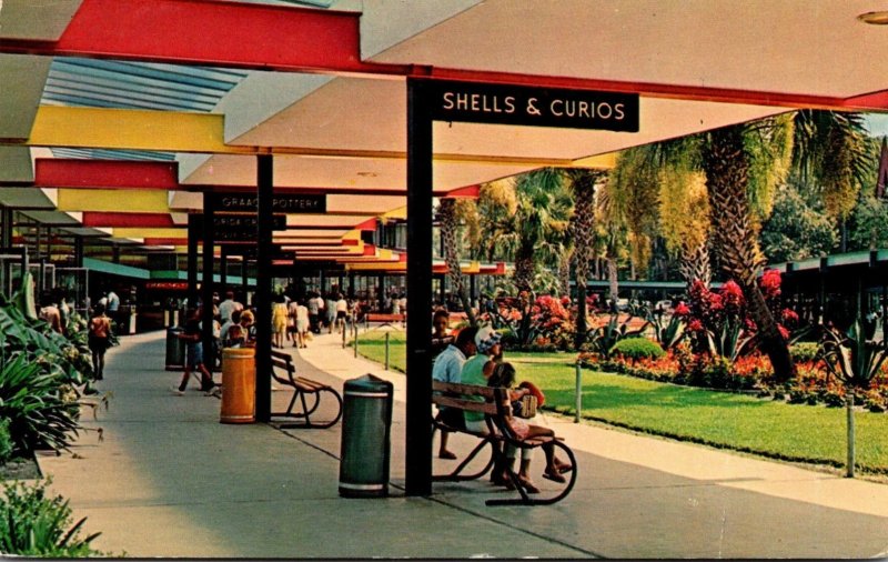 Florida Silver Springs Covered Promenade