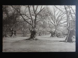 Buckinghamshire BURNHAM BEECHES Seven Ways Plain c1915 by Spong & Purser Farnham