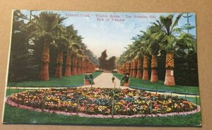 VINTAGE UNUSED .01 POSTCARD - LINCOLN PARK, BED OF PANSIES, LOS ANGELES, CAL. 