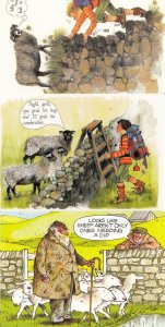 Sheep With Farmer Mountain Climber 3x Comic Humour Postcard