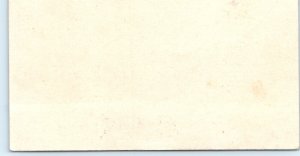 c1880s Karl Sailer Name Calling Trade Card Sender Thinks Colorful Gilt Rose C3
