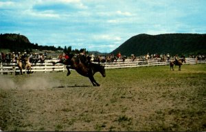 Canada British Columbia Williams Lake Stampede