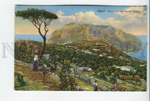 460564 Italy Capri panorama Solaro Vintage postcard