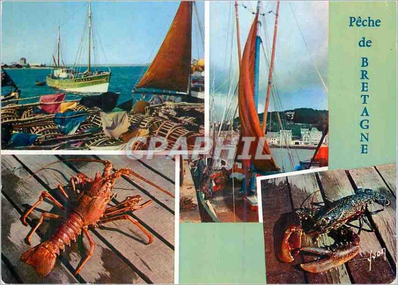 Postcard Modern Fishing Colors of Britain and France Lumiere Fishing Boat Lob...