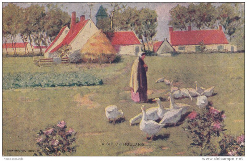 Woman enjoying the company of flock of geese, Spring Scene, A Bit of Holland...