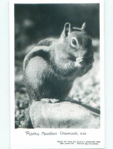 old rppc CHIPMUNK Denver Colorado CO i6884