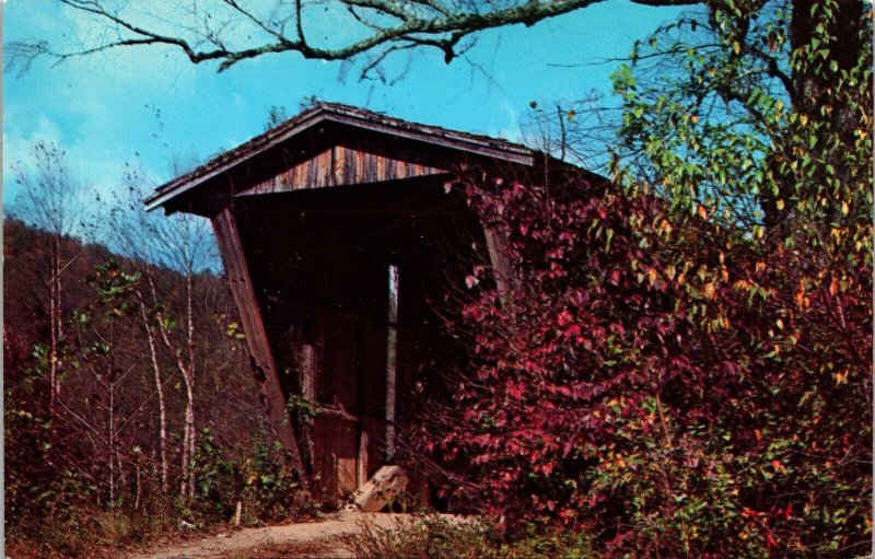 Sautee Creek Covered Bridge Helen Georgia Fall Autumn Mossy Creek UNP Postcard 