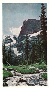 Vintage Postcard 1920's Notch Top Mountain Rocky Mountain National Park Colorado