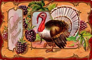 Thanksgiving Greetings With Turkey and Rasberries