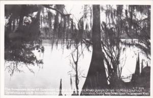 Florida Suwannee River At Suwanne Gables Suwannee River Jungle Drive Real Photo