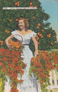 Florida Fruit Picking Time