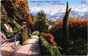 Italy Meran Südtirol Vegetation in der Gilfanlage Vintage Postcard C185